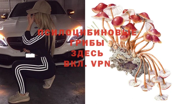 метадон Пролетарск