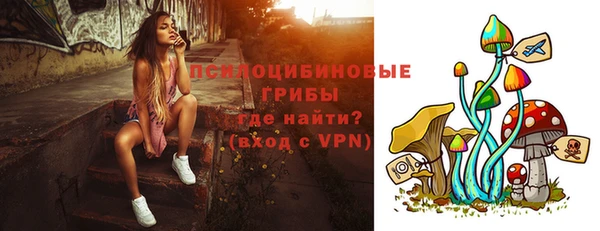 метадон Пролетарск