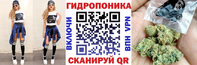 где продают   hydra   Марихуана конопля  Будённовск 